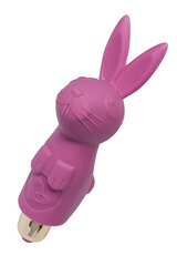 Rabbit vibraator, Ramsey Rabbit 7, tumeroosa hind ja info | Vibraatorid | kaup24.ee