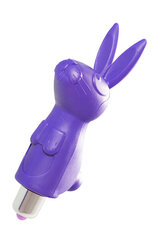 Вибратор для кроликов, Ramsey Rabbit Lila, фиолетовый цена и информация | Вибраторы | kaup24.ee