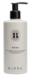 Kõõmavastane šampoon Björk Rena Anti-dandruff & Dry Scalp Shampoo, 300 ml hind ja info | Šampoonid | kaup24.ee