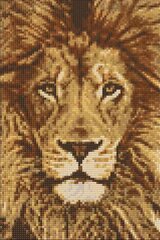 Teemantmosaiik Lion DP068, 20x30 cm цена и информация | Алмазная мозаика | kaup24.ee