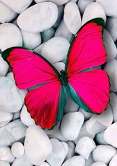 Розовая бабочка 20*30 см DP054 алмазная мозаика цена и информация | Алмазная мозаика | kaup24.ee