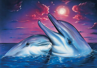 Дельфины 38 х 27 см DP223 алмазная мозаика цена и информация | Алмазная мозаика | kaup24.ee