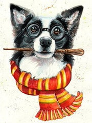 Teemantmosaiik Bordercollie võlur DP2697, 30x40 cm цена и информация | Алмазная мозаика | kaup24.ee