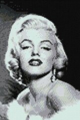 Teemantmosaiik Marilyn Monroe DP135, 20x30 cm hind ja info | Teemantmaalid, teemanttikandid | kaup24.ee