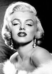 Teemantmosaiik Marilyn Monroe DP135, 20x30 cm hind ja info | Teemantmaalid, teemanttikandid | kaup24.ee