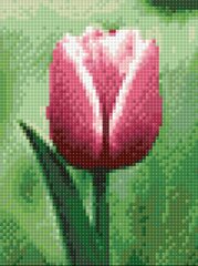 Teemantmosaiik Tulip DP300, 15x20 cm цена и информация | Алмазная мозаика | kaup24.ee