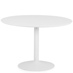 Laud Aatrium Taco, 160x110x74 cm, valge hind ja info | Köögi- ja söögilauad | kaup24.ee
