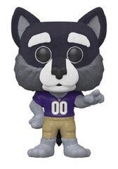 Funko POP! Harry the Husky UW College Mascots #3 hind ja info | Fännitooted mänguritele | kaup24.ee