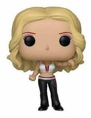 Funko POP! WWE Trish Stratus 66 цена и информация | Атрибутика для игроков | kaup24.ee