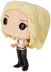 Funko POP! WWE Trish Stratus 66 цена и информация | Атрибутика для игроков | kaup24.ee