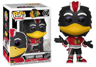 Funko Pop! Hockey Blackhawks Tommy Hawk hind ja info | Fännitooted mänguritele | kaup24.ee