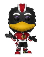 Funko Pop! Hockey Blackhawks Tommy Hawk hind ja info | Fännitooted mänguritele | kaup24.ee