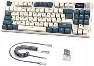 RK86 Pro mehaaniline klaviatuur цена и информация | Клавиатуры | kaup24.ee