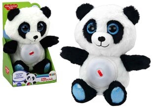 Pehmed plüüsist panda Lean Toys hind ja info | Pehmed mänguasjad | kaup24.ee