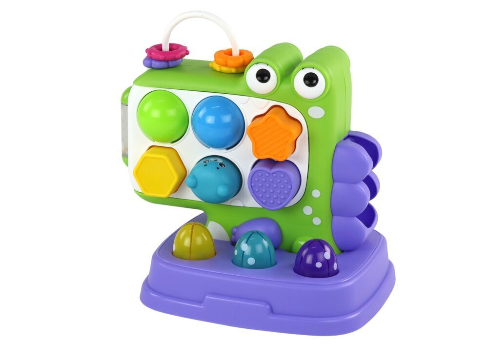 Hariv multifunktsionaalne mäng Lean Toys Dinosaur цена и информация | Imikute mänguasjad | kaup24.ee