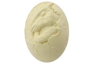 Arheoloogiakomplekt Lean Toys Dinosauruse muna hind ja info | Poiste mänguasjad | kaup24.ee