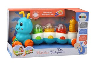 Tõmbatav õppemänguasi Lean Toys Caterpillar hind ja info | Imikute mänguasjad | kaup24.ee
