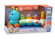 Tõmbatav õppemänguasi Lean Toys Caterpillar hind ja info | Imikute mänguasjad | kaup24.ee