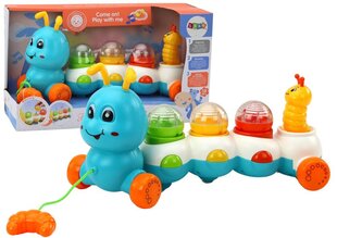 Tõmbatav õppemänguasi Lean Toys Caterpillar hind ja info | Imikute mänguasjad | kaup24.ee