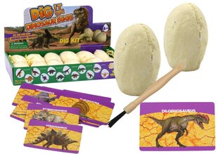 Arheoloogiakomplekt Lean Toys Dinosauruse munad, 1 tk цена и информация | Игрушки для мальчиков | kaup24.ee