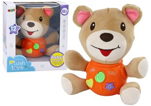 плюшевый интерактивный медвежонок, 23 см цена и информация | Мягкие игрушки | kaup24.ee