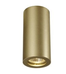 SLV потолочный светильник Enola цена и информация | Потолочные светильники | kaup24.ee