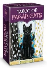 Карты Таро Tarot Of Pagan Cats цена и информация | Эзотерика | kaup24.ee