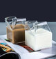 Klaasist tass piimale, Electronics LV-976, 1 tk цена и информация | Klaasid, tassid ja kannud | kaup24.ee