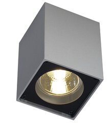 SLV laelamp Altra цена и информация | Потолочные светильники | kaup24.ee