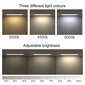 LED-valgusti Tedison, 40 cm hind ja info | Süvistatavad ja LED valgustid | kaup24.ee