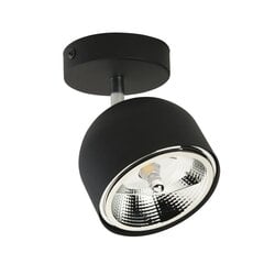 TK Lighting потолочный светильник Altea цена и информация | Потолочные светильники | kaup24.ee