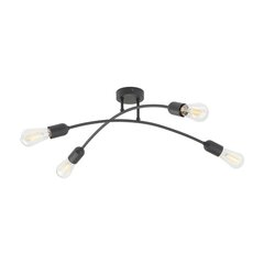 TK Lighting потолочный светильник Helix цена и информация | Потолочные светильники | kaup24.ee