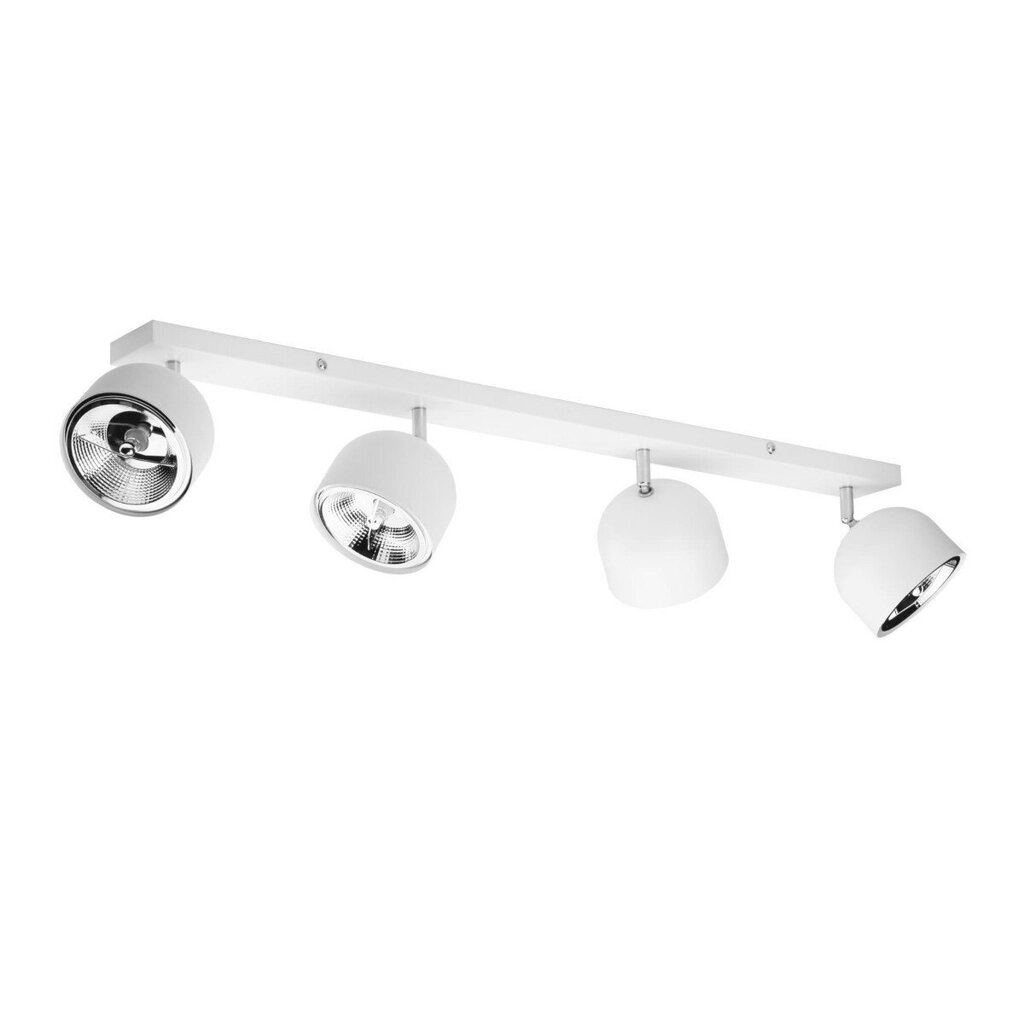 TK Lighting laevalgusti Altea hind ja info | Laelambid | kaup24.ee