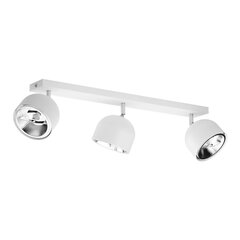 TK Lighting laevalgusti Altea hind ja info | Laelambid | kaup24.ee