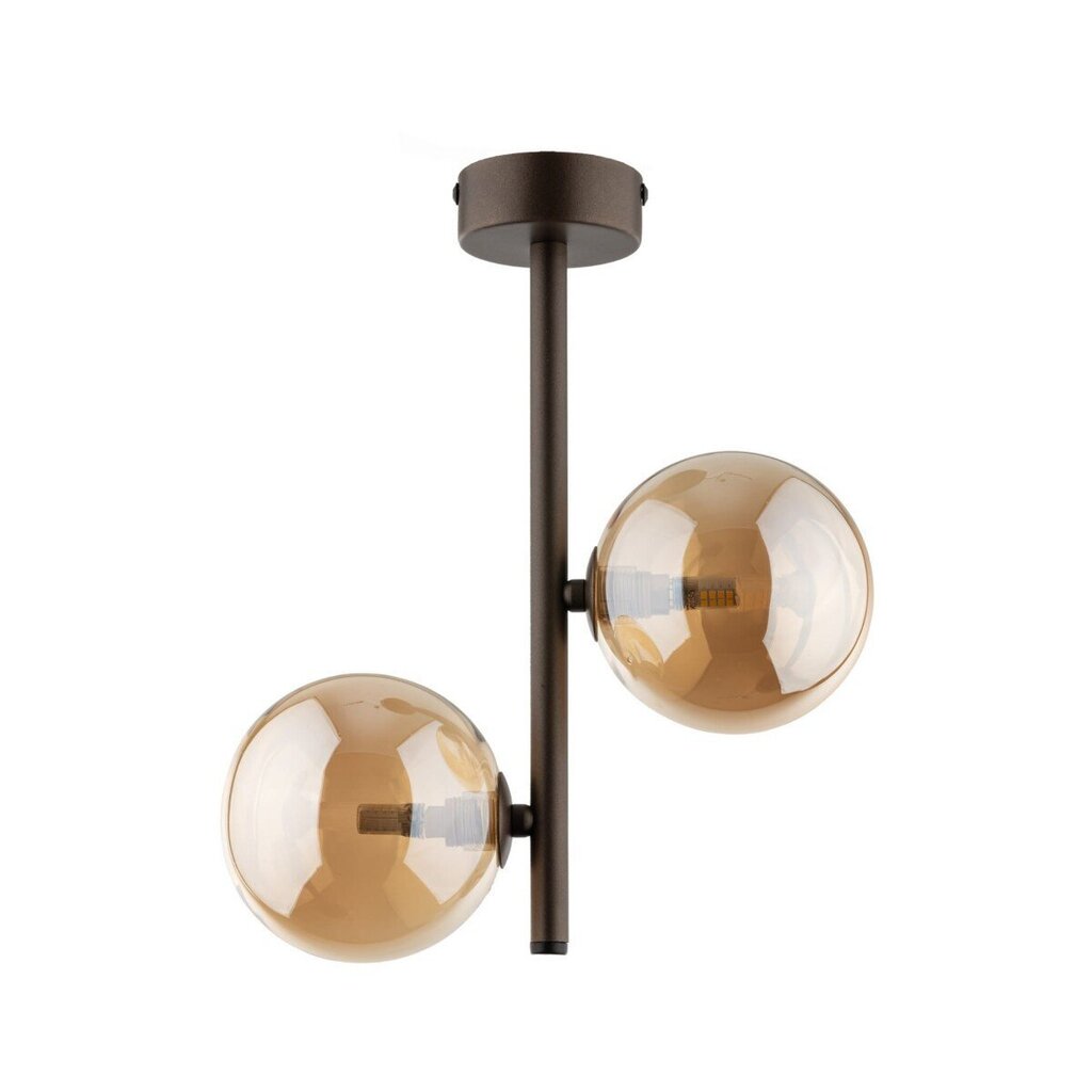 TK Lighting laevalgusti Estera hind ja info | Laelambid | kaup24.ee