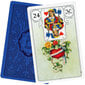 Lenormand Blue Owl hind ja info | Esoteerika | kaup24.ee