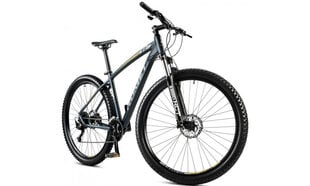 Велосипед Romet Rambler R9.4, 29" - L цена и информация | Велосипеды | kaup24.ee