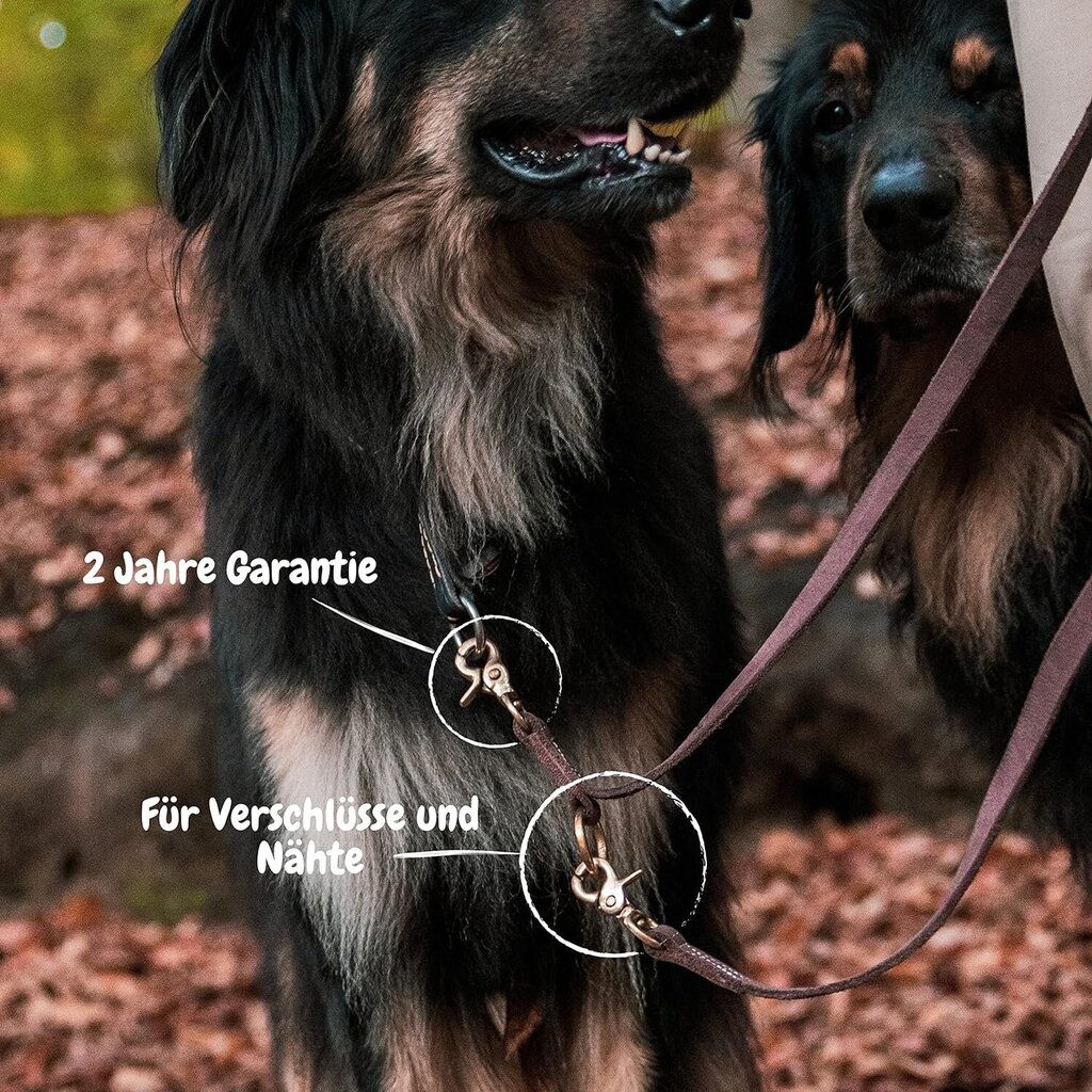 Jalutusrihm nahast 1,2x220 cm väikesele ja keskmisele koerale hind ja info | Koerte jalutusrihmad | kaup24.ee