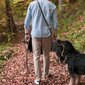 Jalutusrihm nahast 1,2x220 cm väikesele ja keskmisele koerale hind ja info | Koerte jalutusrihmad | kaup24.ee