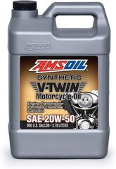 Õli Amsoil 20W-50 Synthetic Motorcycle Oil 3.784l (MCV1G) цена и информация | Моторные масла | kaup24.ee