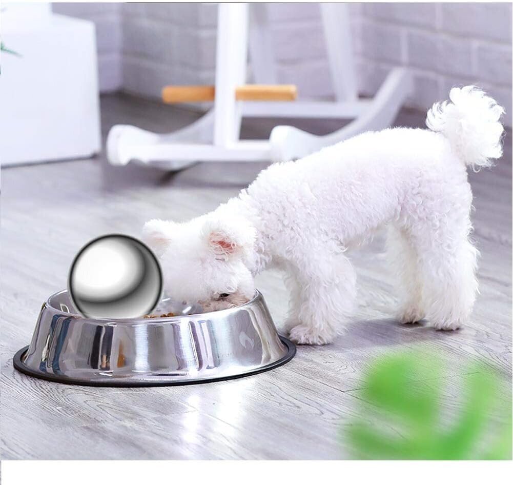 Terasest pall koera söömise aeglustamiseks цена и информация | Toidukausid loomadele | kaup24.ee