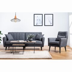 2-х частный комплект мебели для гостиной Asir Aqua-Takim1-S 1053, серый цена и информация | Комплекты мягкой мебели | kaup24.ee