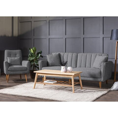 2-х частный комплект мебели для гостиной Asir Aqua-TKM04-94216 цена и информация | Комплекты мягкой мебели | kaup24.ee