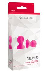 Klambrid nibude stimuleerimiseks, Nibble S, roosa цена и информация | БДСМ и фетиш | kaup24.ee