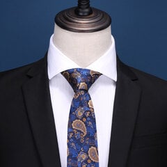 Мужские галстуки Deven Home S8-8012 Формальные свадебные вечеринки бизнес шелк цена и информация | Галстуки, бабочки | kaup24.ee