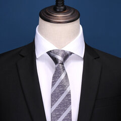Мужские галстуки Deven Home S8-8005 Формальные свадебные вечеринки бизнес шелк цена и информация | Галстуки, бабочки | kaup24.ee
