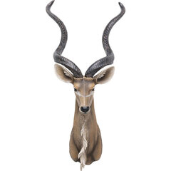 Украшение на стену Object Antelope, 41x100 см цена и информация | Детали интерьера | kaup24.ee