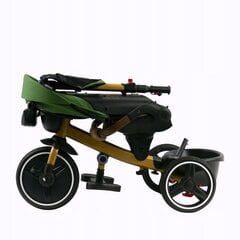 Multifunktsionaalne lükatav kolmerattaline Kidsee Raptor, roheline цена и информация | Трехколесные велосипеды | kaup24.ee