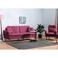 2-х частный гостиной мебельный комплект Asir Terra-TKM02-94819, розовый цена и информация | Комплекты мягкой мебели | kaup24.ee