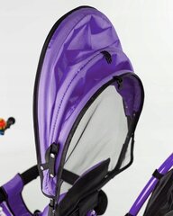 Многофункциональный трехколесный велосипед-коляска BE-ACTIVE 3в1, фиолетовый цена и информация | Трехколесные велосипеды | kaup24.ee
